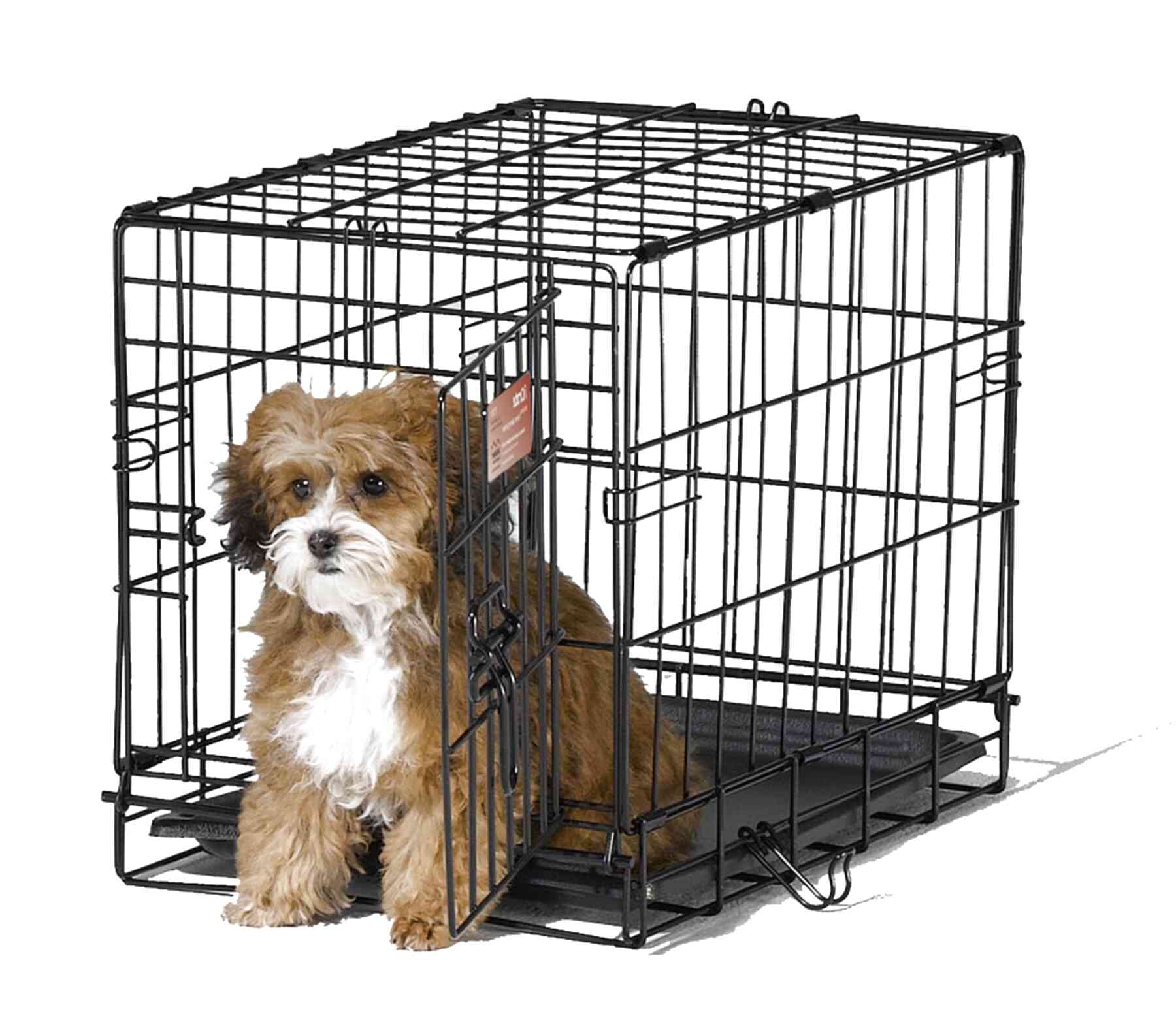 Small Dog Crate for sale in UK 98 used Small Dog Crates