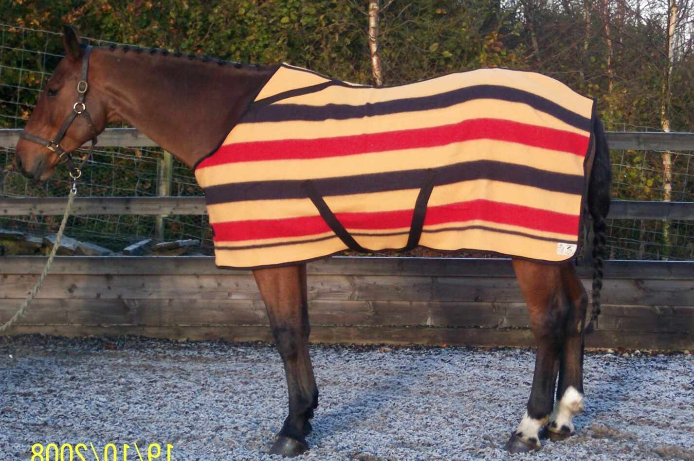 Witney Horse Blanket for sale in UK 58 used Witney Horse Blankets