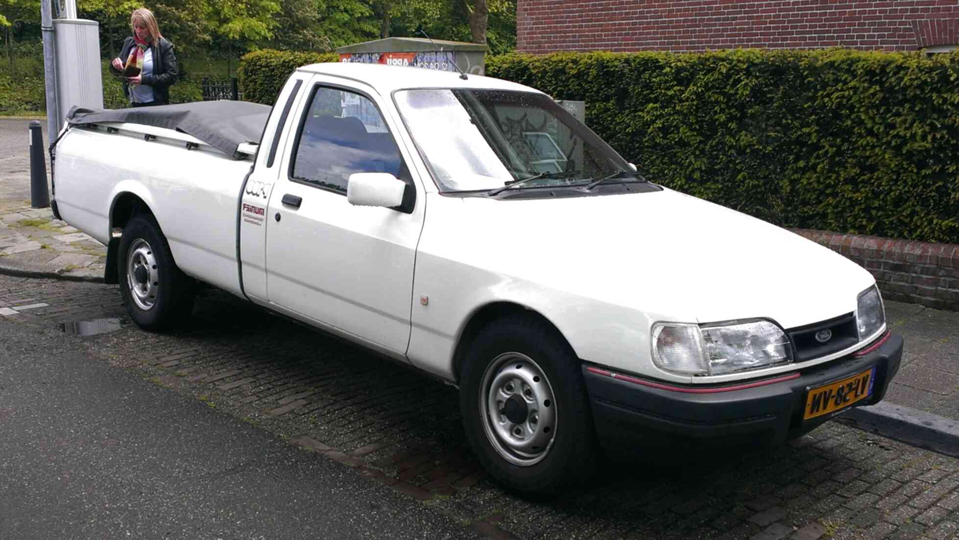 Ford p 100