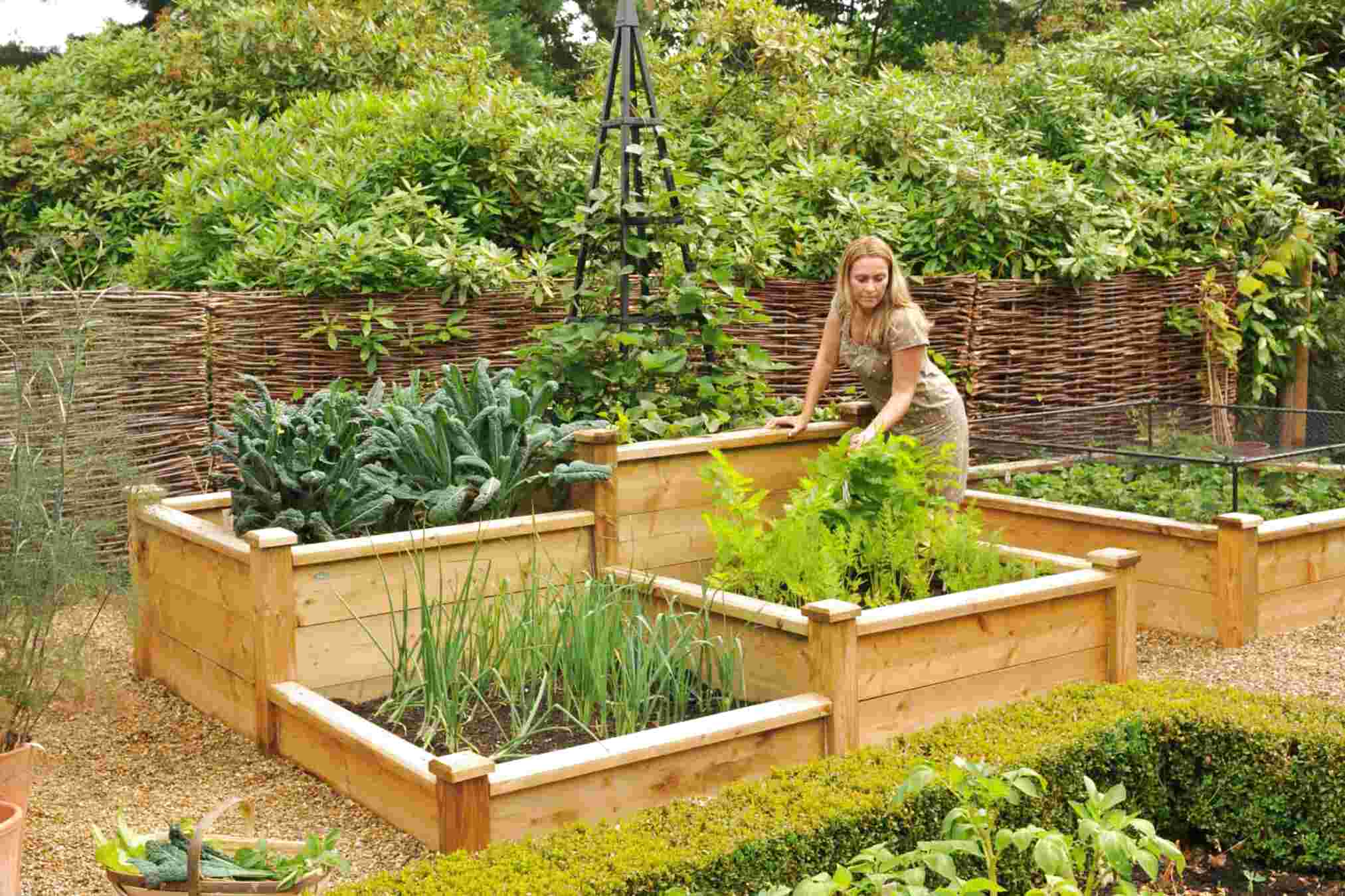 Wooden Raised Beds for sale in UK | View 69 bargains