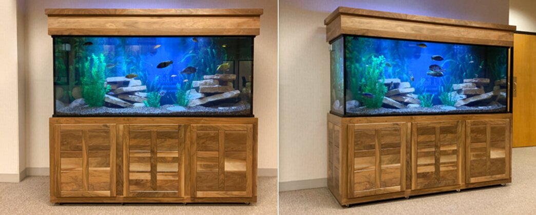 modern fish tanks for sale