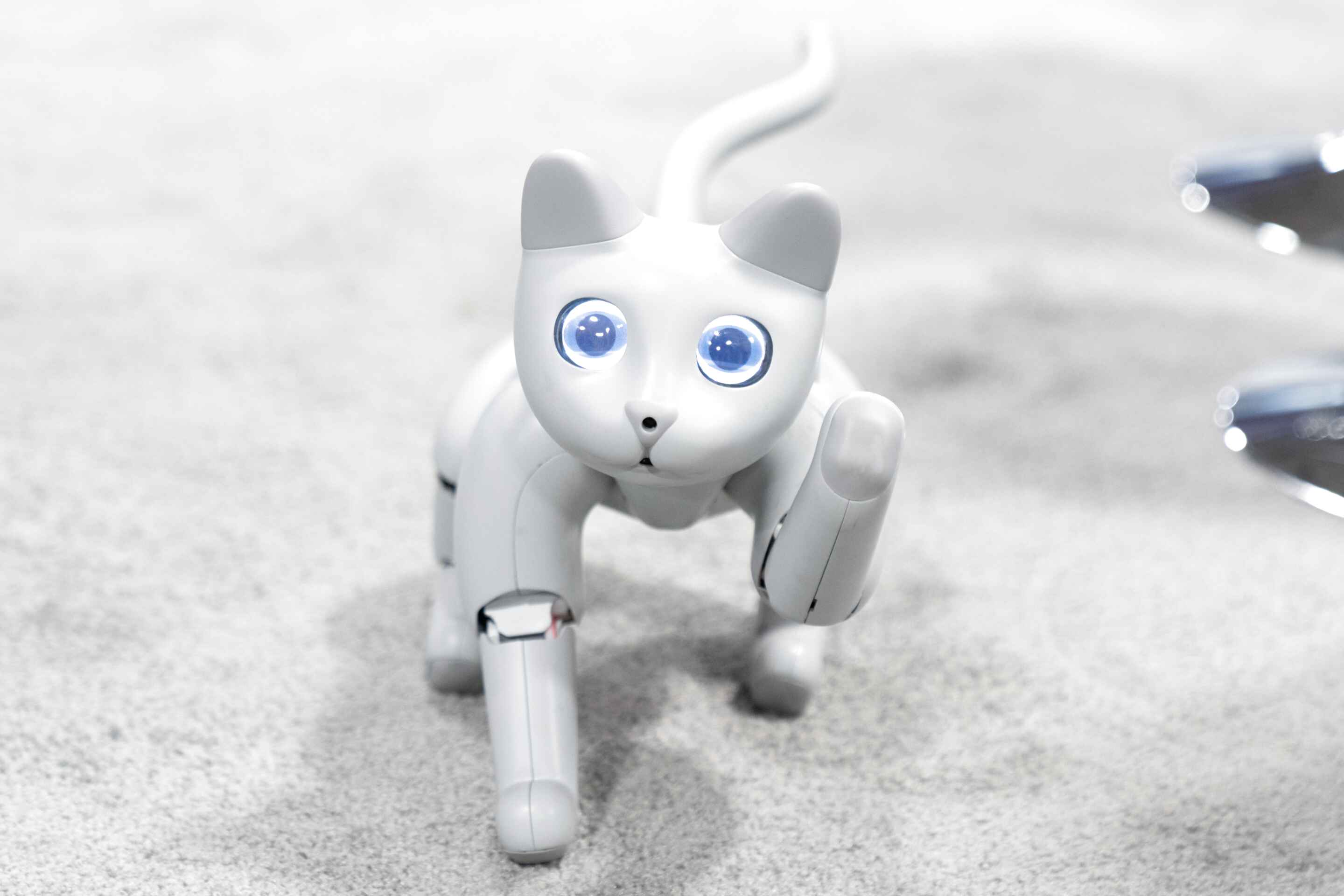 Robot Cat for sale in UK | 65 used Robot Cats