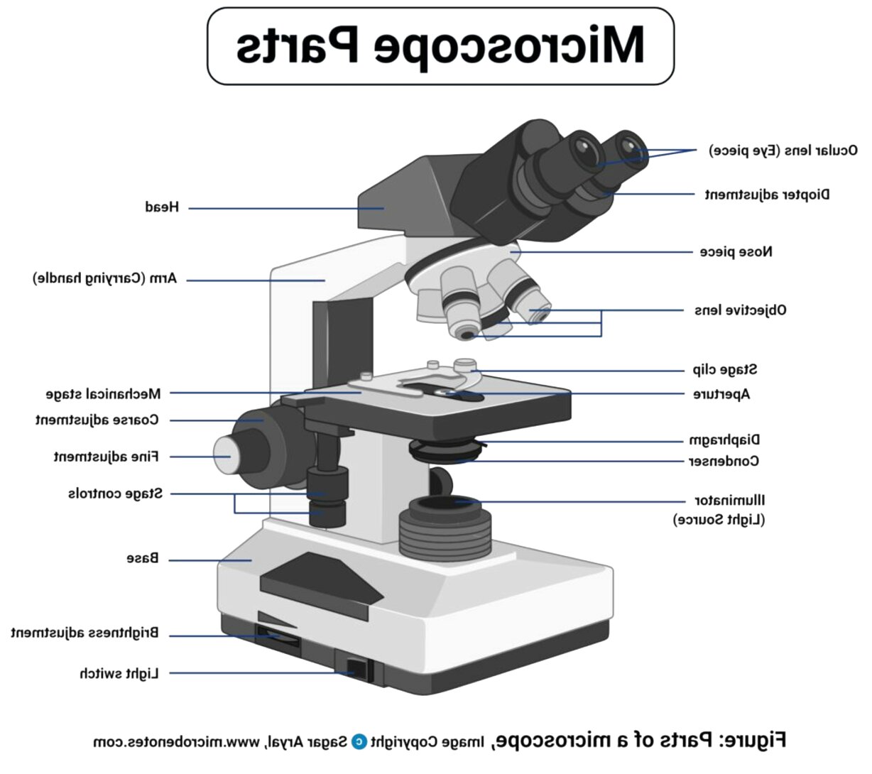 Microscope Parts for sale in UK | 54 used Microscope Parts