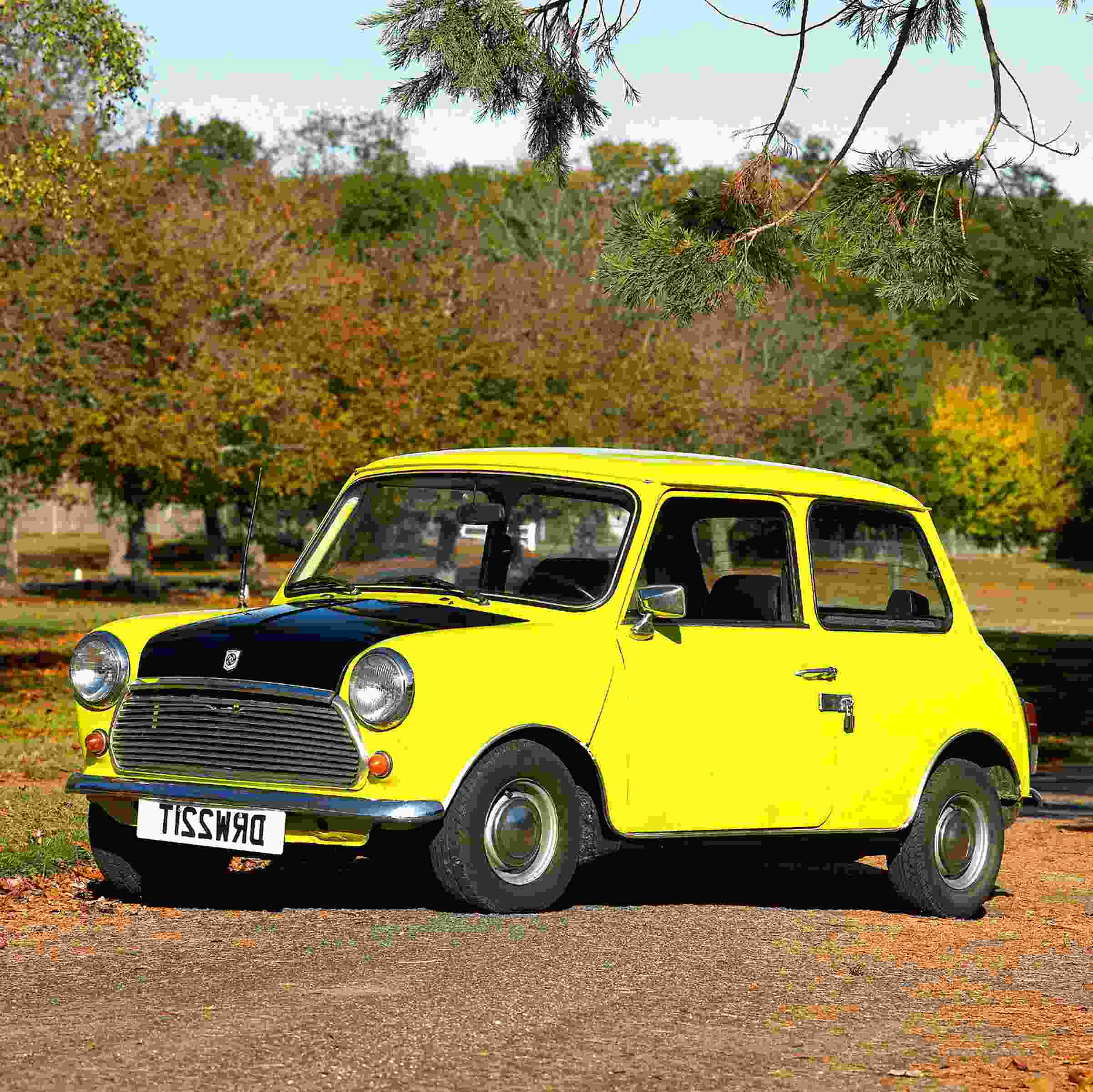 mr bean mini