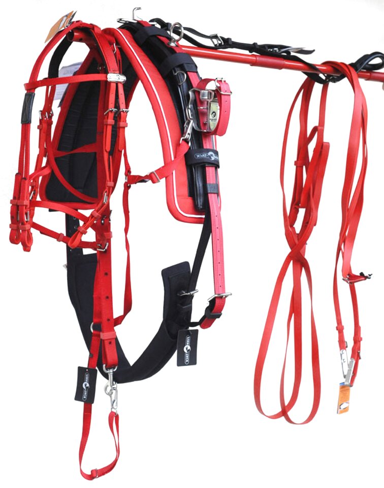 Trotting Harness for sale in UK | 48 used Trotting Harness