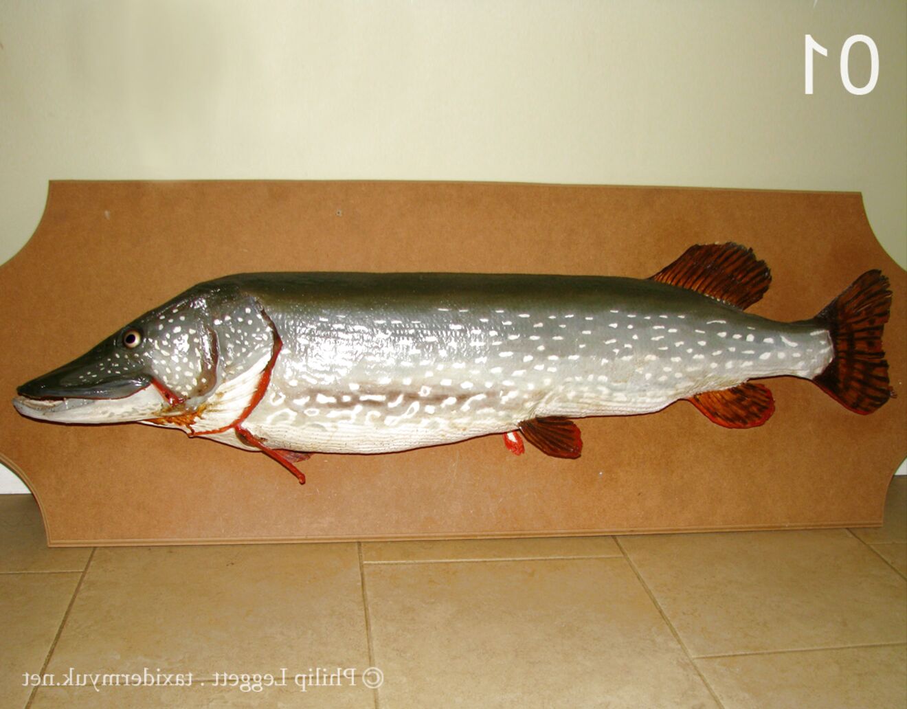 Pike For Sale