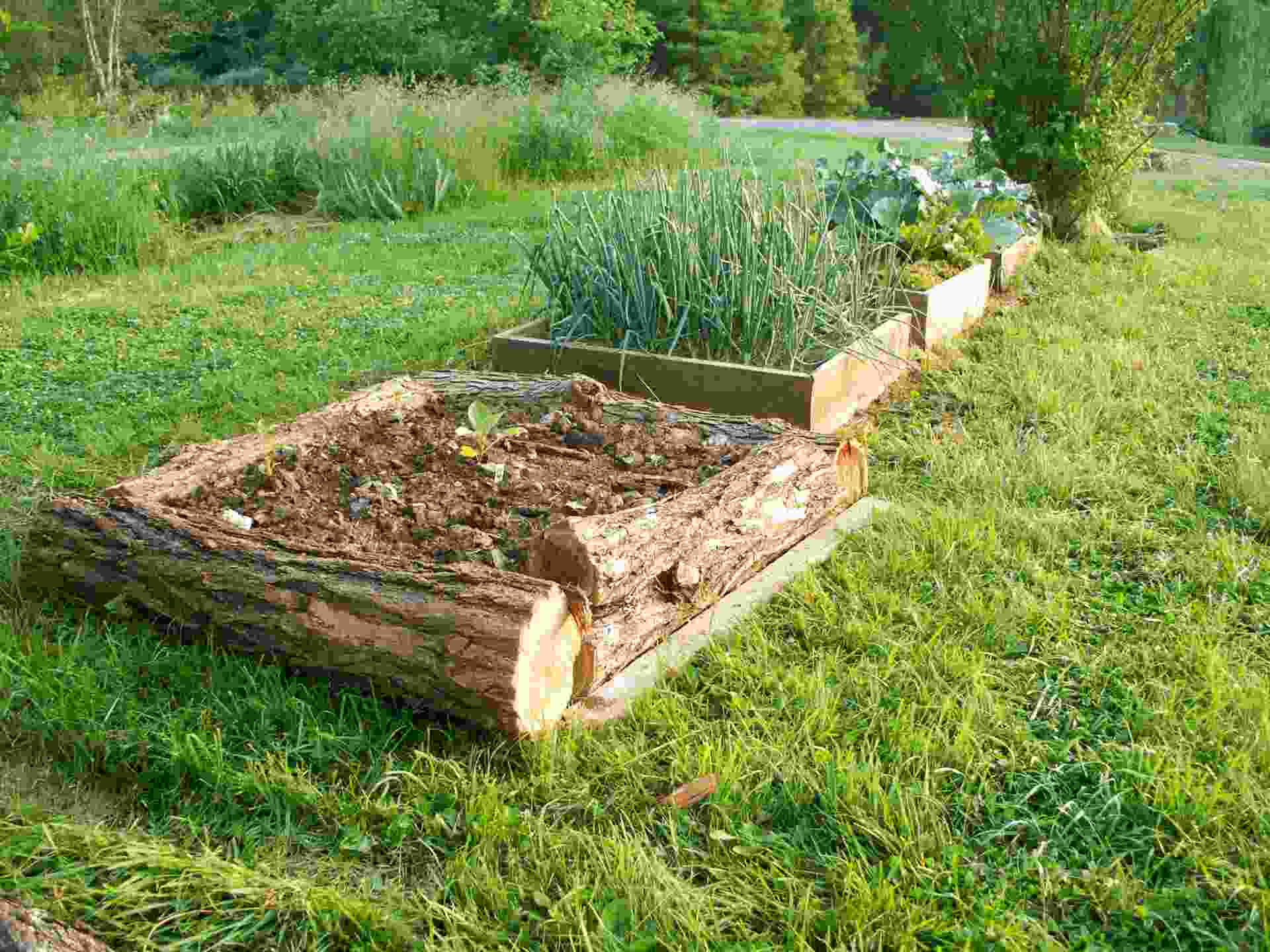 Raised Garden Beds For Sale In UK | 75 Used Raised Garden Beds