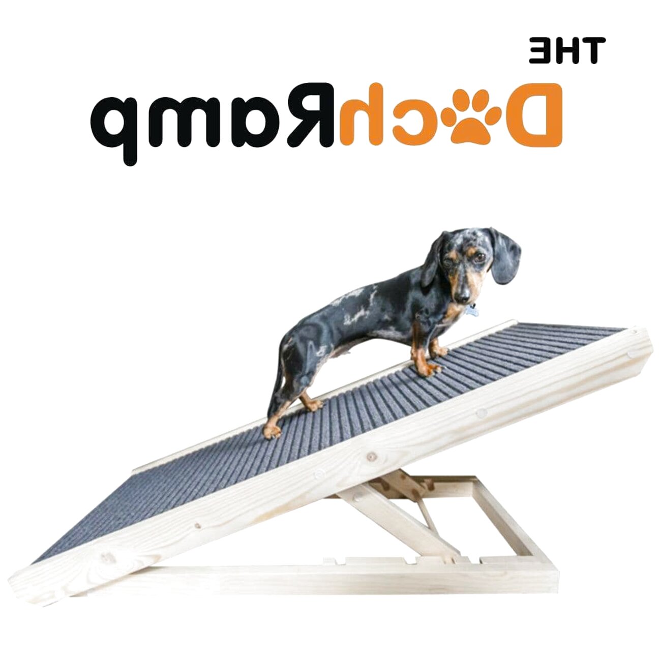 Dog Ramp for sale in UK 87 used Dog Ramps