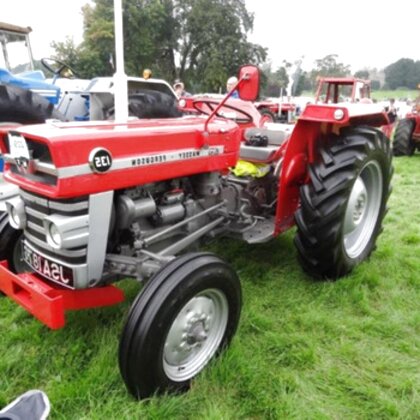 Massey Ferguson 135 for sale in UK | 66 used Massey Ferguson 135