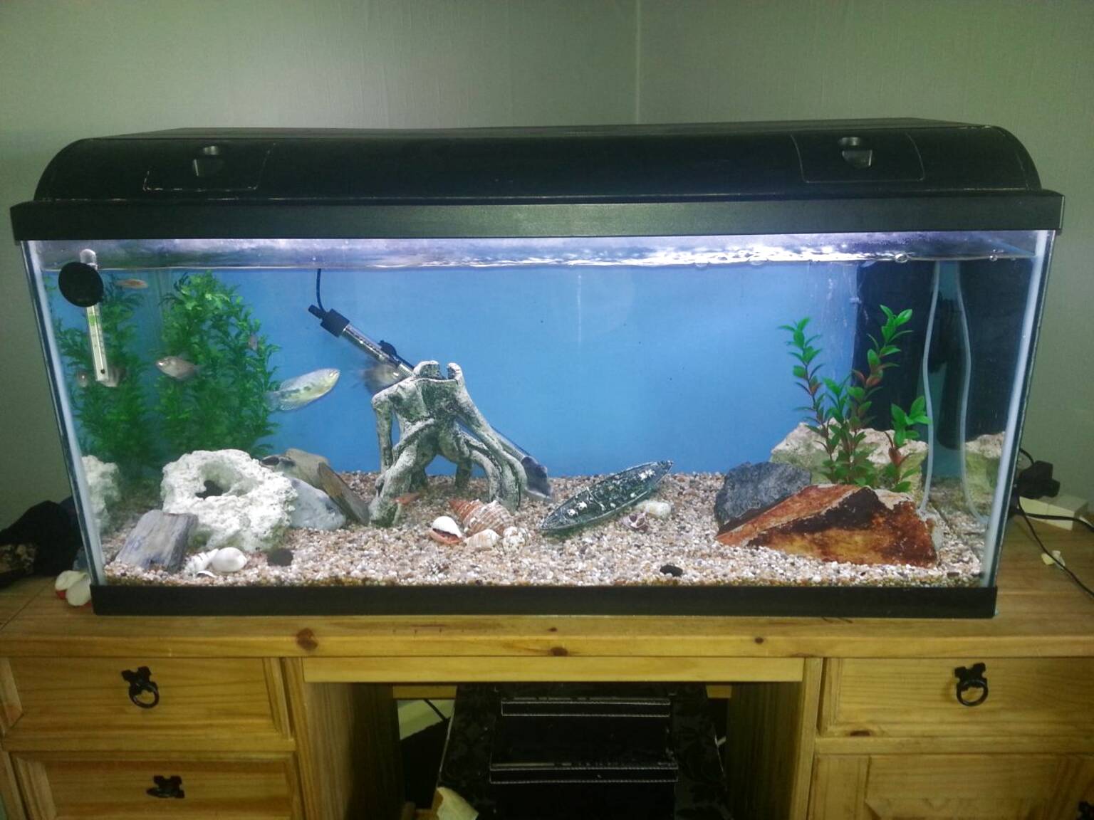 modern fish tank for sale