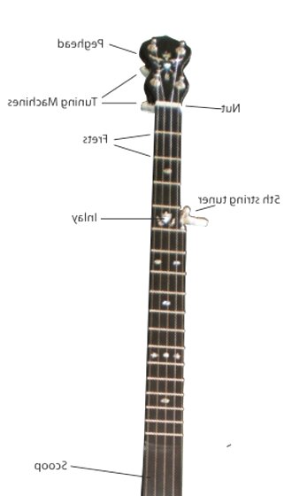 banjo neck diagrams