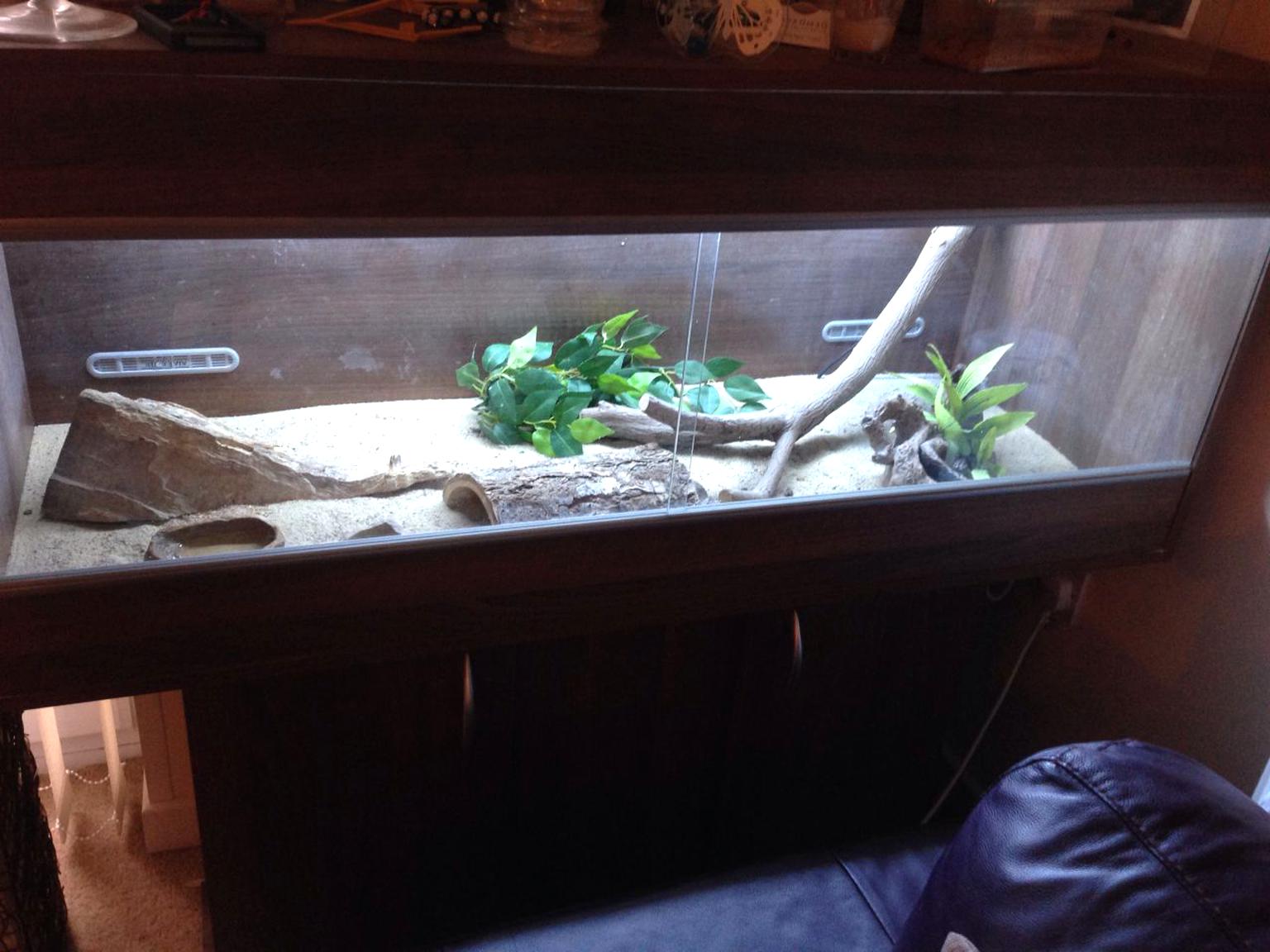 5Ft Vivarium for sale in UK | 67 used 5Ft Vivariums