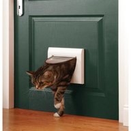 catflap for sale