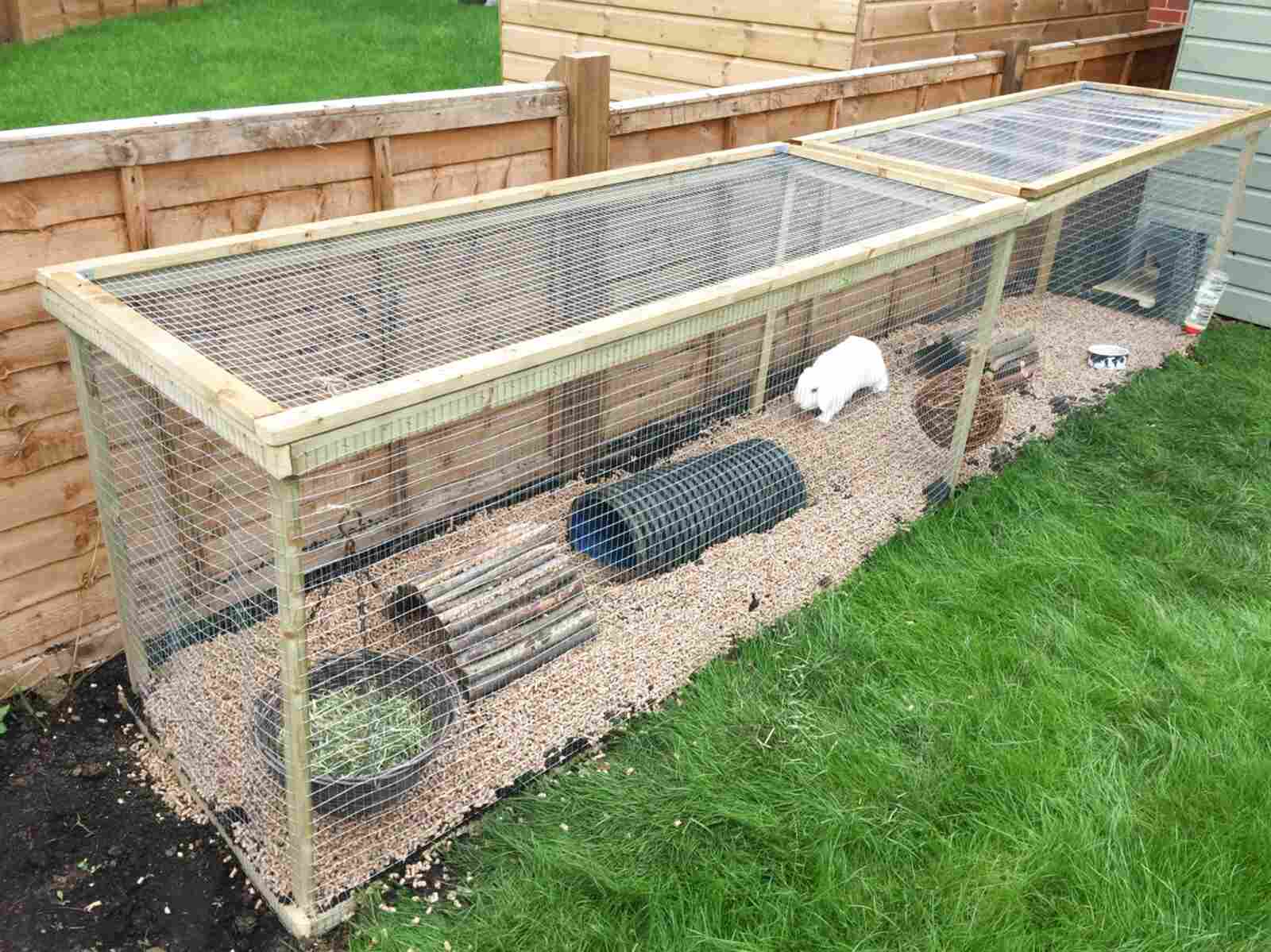 Outdoor Rabbit Run for sale in UK 47 used Outdoor Rabbit Runs