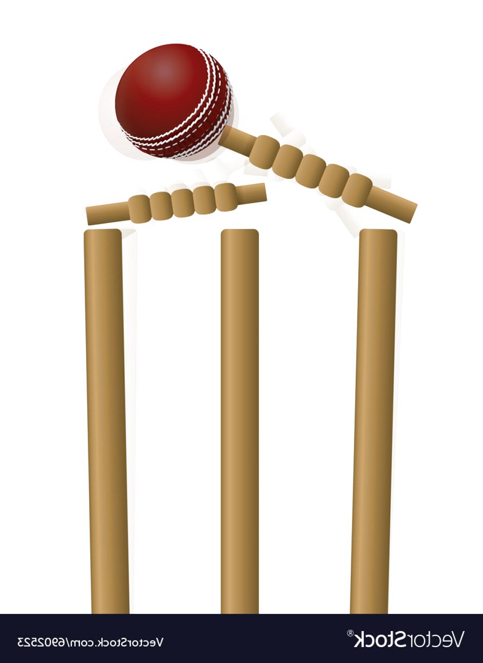 Cricket Wicket for sale in UK | 77 used Cricket Wickets