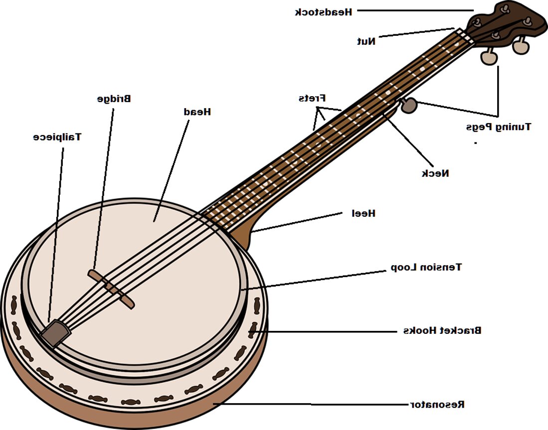 Banjo Parts for sale in UK | 60 used Banjo Parts