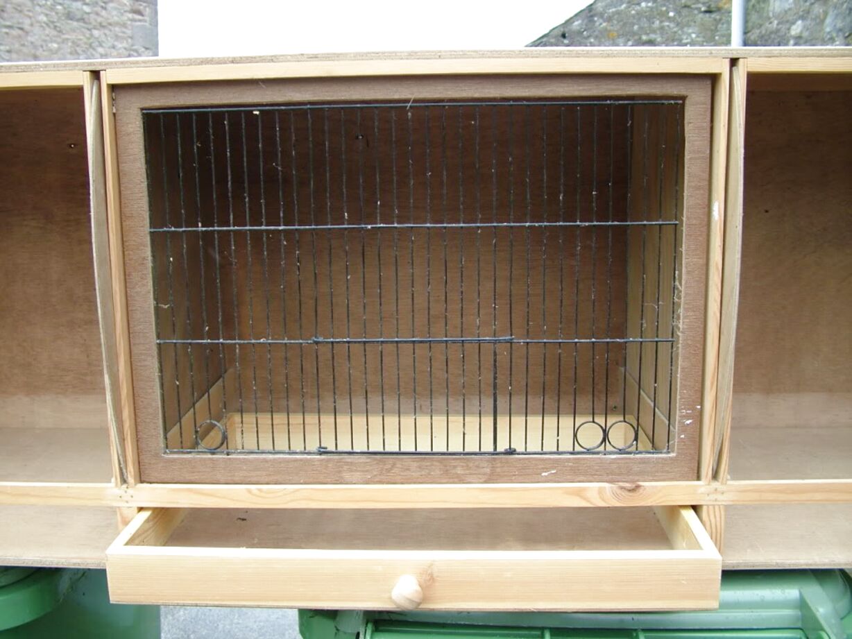 Finch Breeding Cages For Sale In UK | 31 Used Finch Breeding Cages