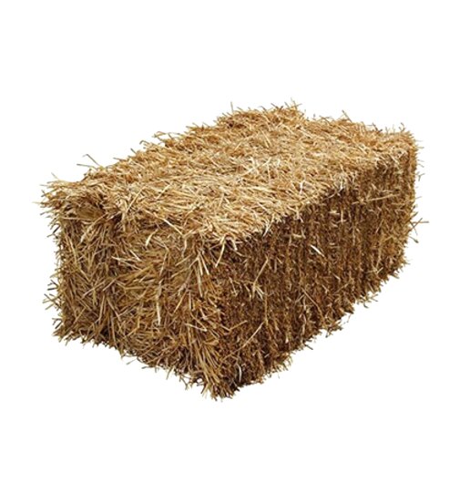 Small Straw Bales for sale in UK | 41 used Small Straw Bales