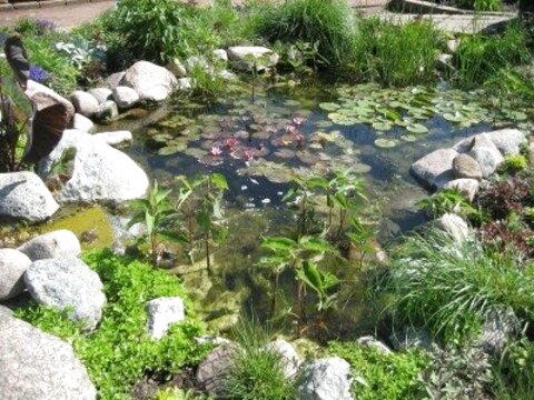 Small Garden Pond for sale in UK | 66 used Small Garden Ponds