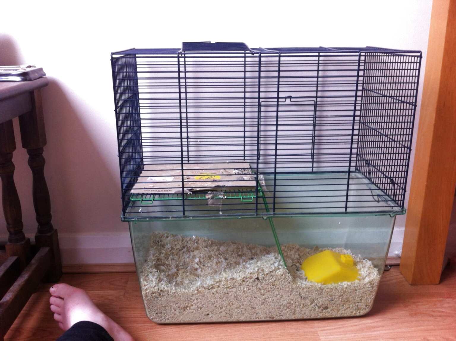 Large Gerbil Cage for sale in UK | 41 used Large Gerbil Cages