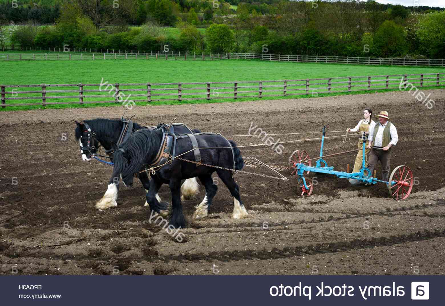 Horse Drawn Plough for sale in UK 64 used Horse Drawn Ploughs