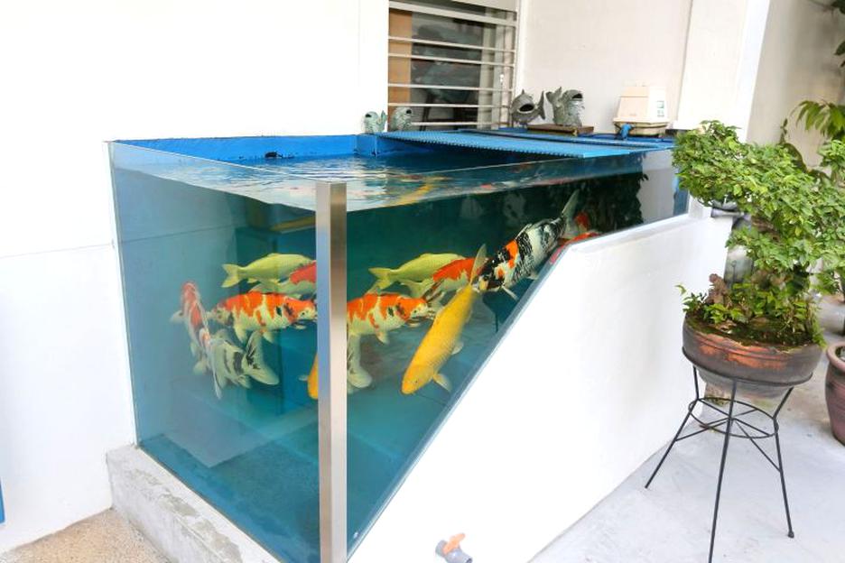 Koi Tank for sale in UK | 68 used Koi Tanks