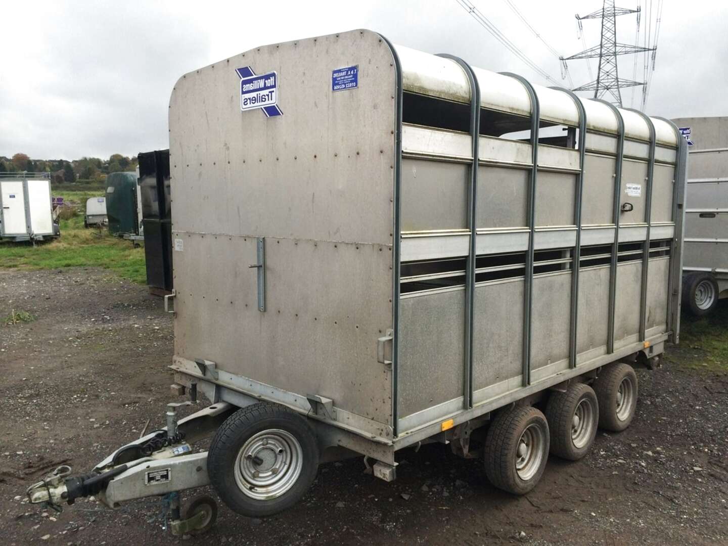 Ifor Williams Tri Axle Livestock Trailer for sale in UK | 70 used Ifor ...