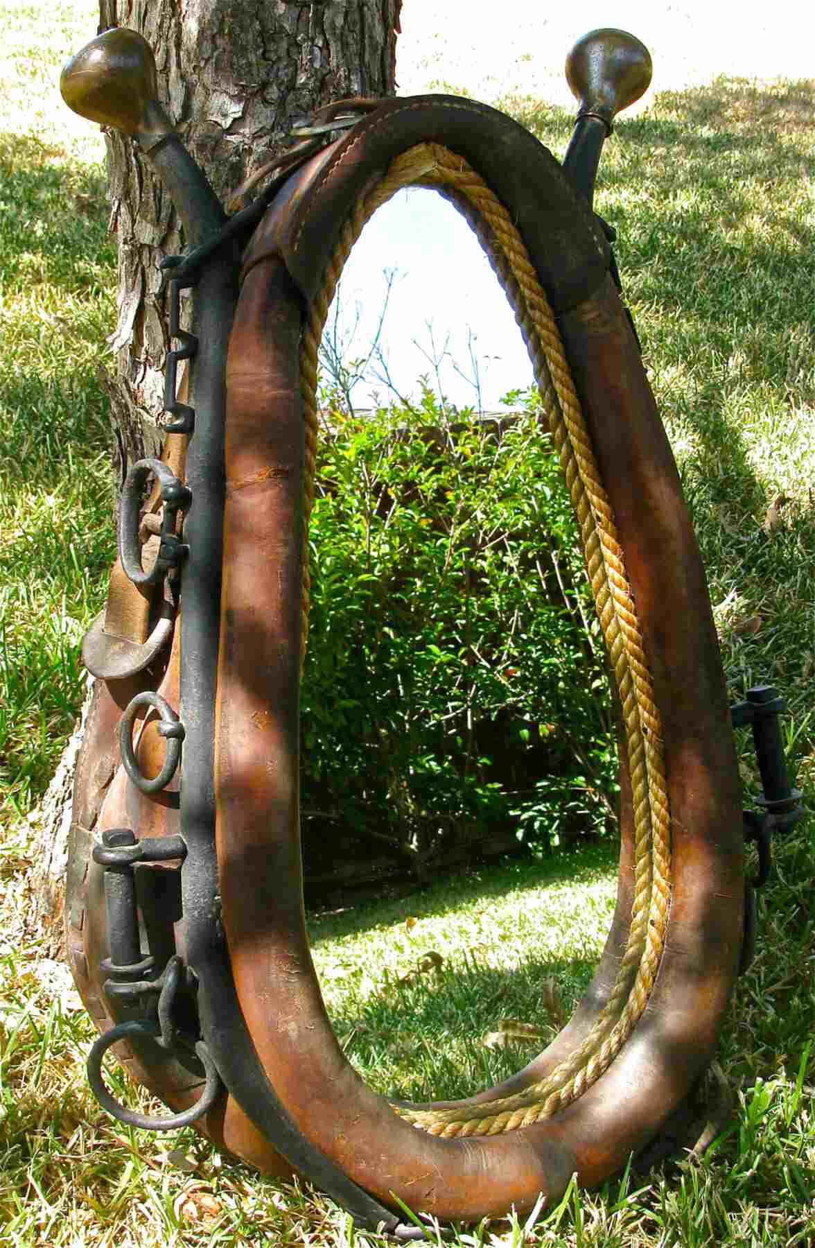 Horse Collar for sale in UK 56 used Horse Collars