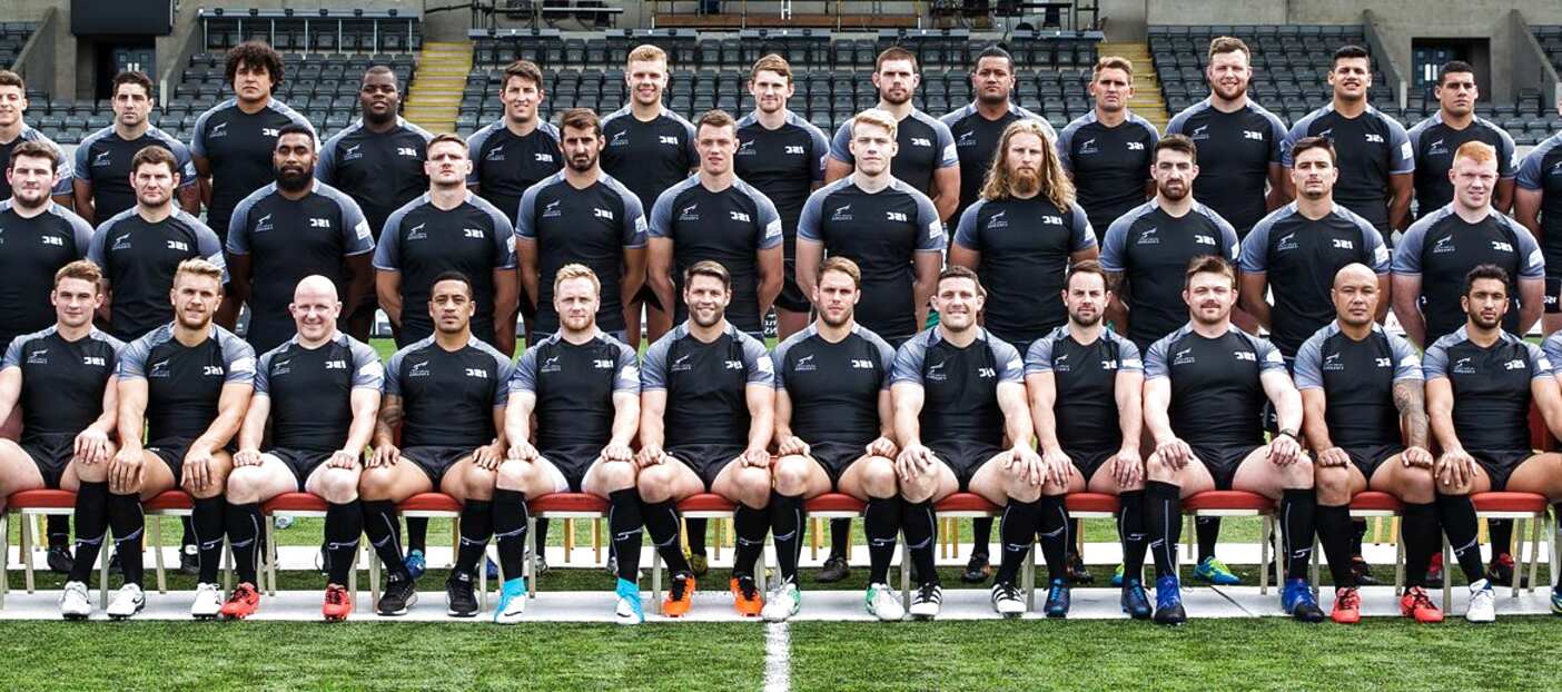 Newcastle Falcons For Sale In UK | 69 Used Newcastle Falcons