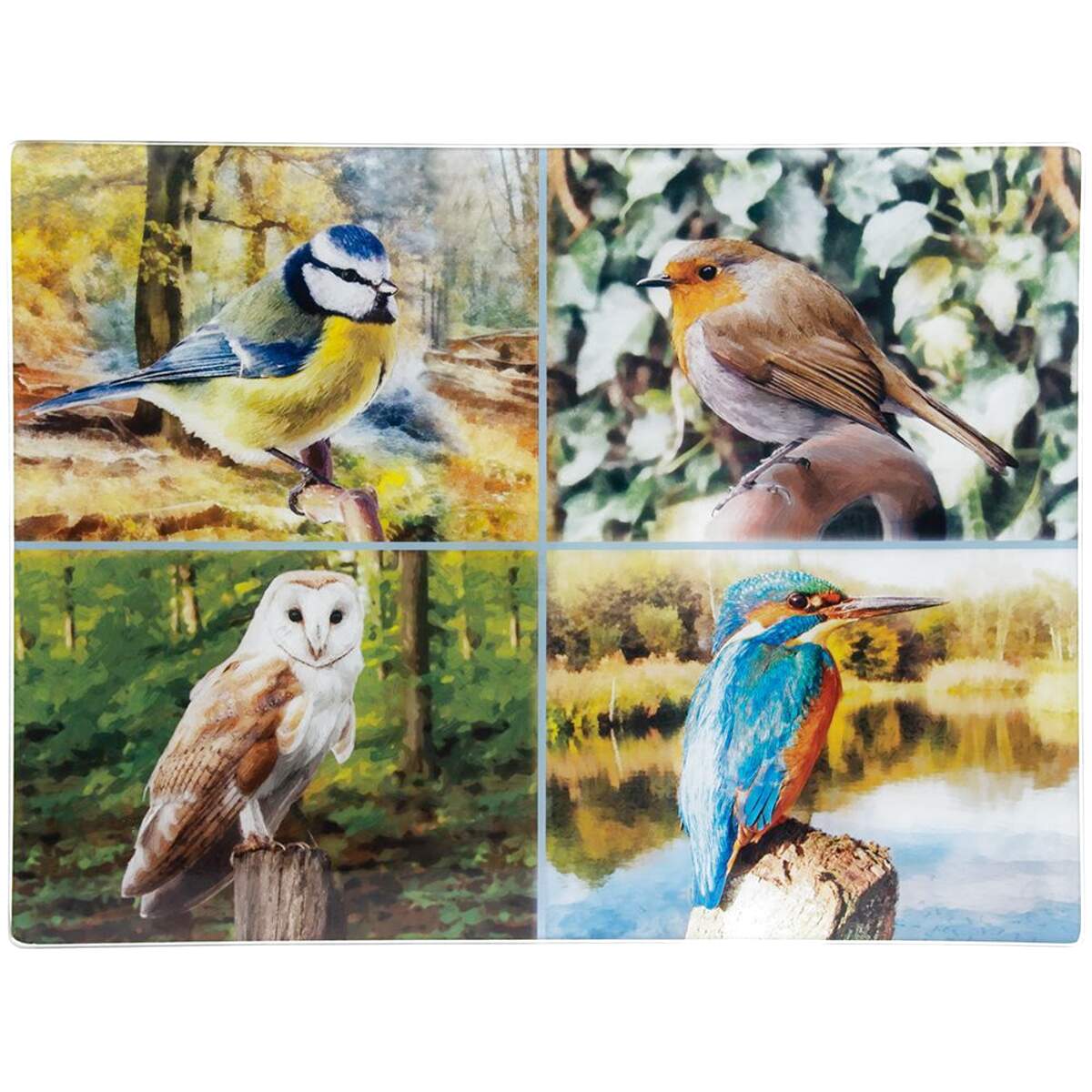 Leonardo Collection Birds for sale in UK | 67 used Leonardo Collection