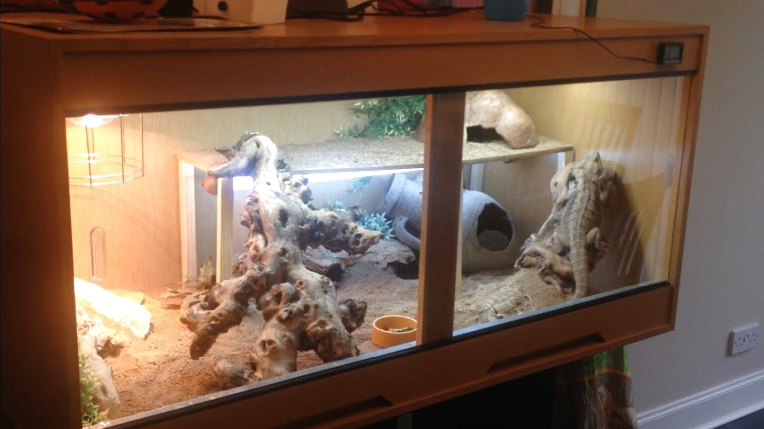 Bearded Dragon Vivarium Setup For Sale In UK | 73 Used Bearded Dragon ...