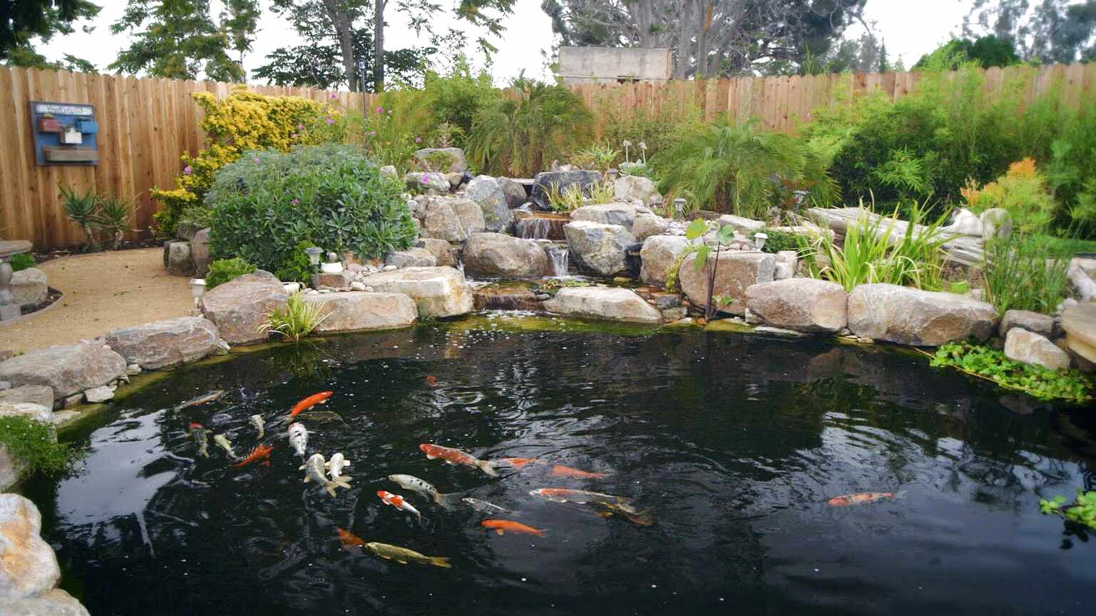 Used Koi Pond For Sale