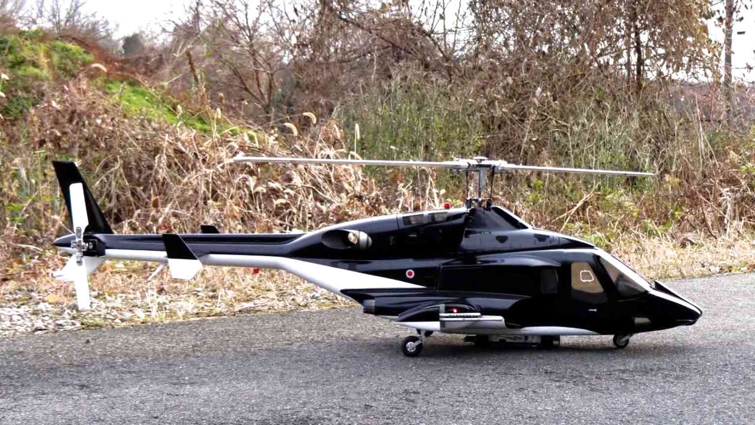 1 4 Scale RC Helicopters