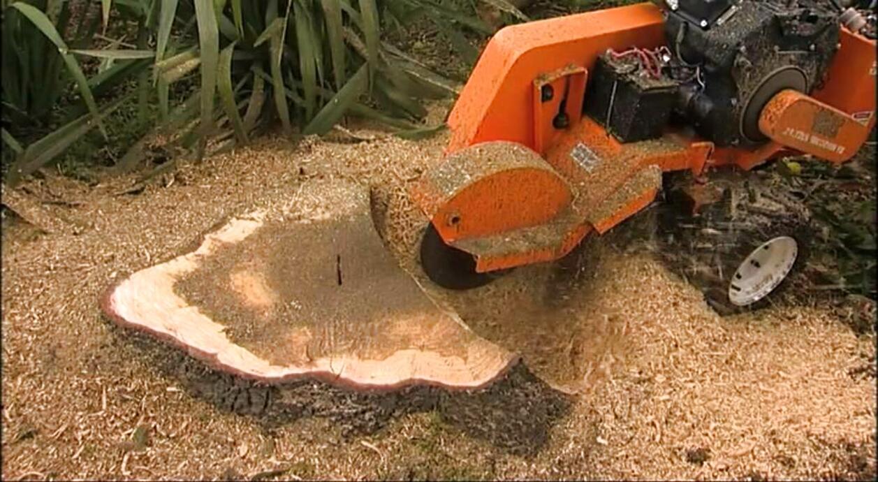 Tree Stump Grinder for sale in UK | 55 used Tree Stump Grinders