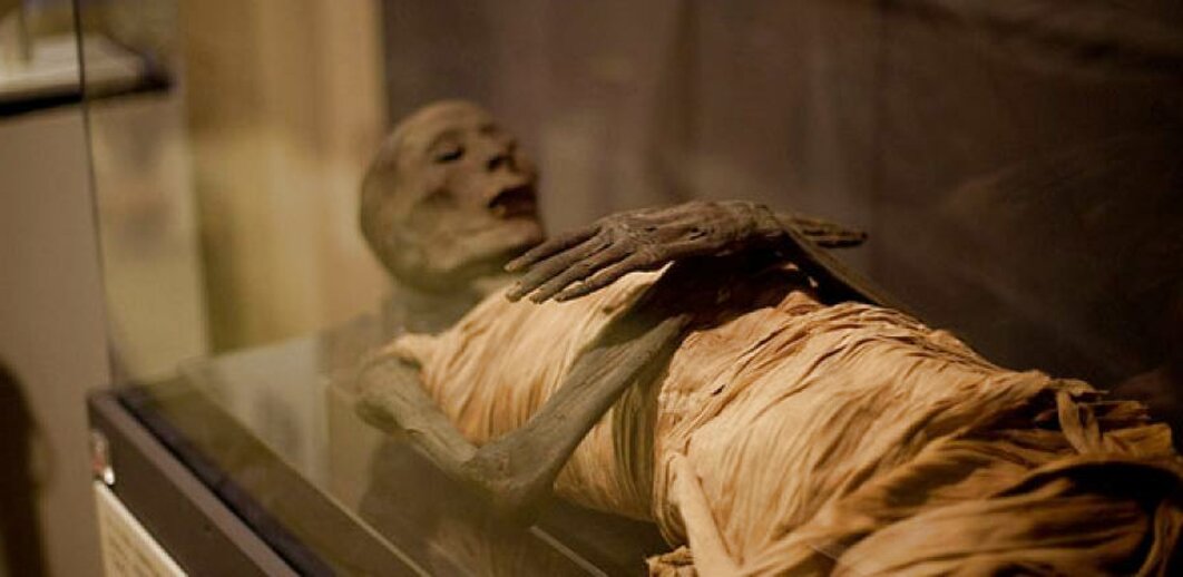 Egyptian Mummies for sale in UK | 64 used Egyptian Mummies