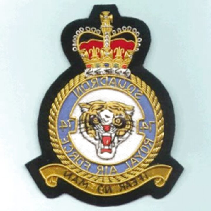 Raf Squadron Badges 74 For Sale In UK | 32 Used Raf Squadron Badges 74