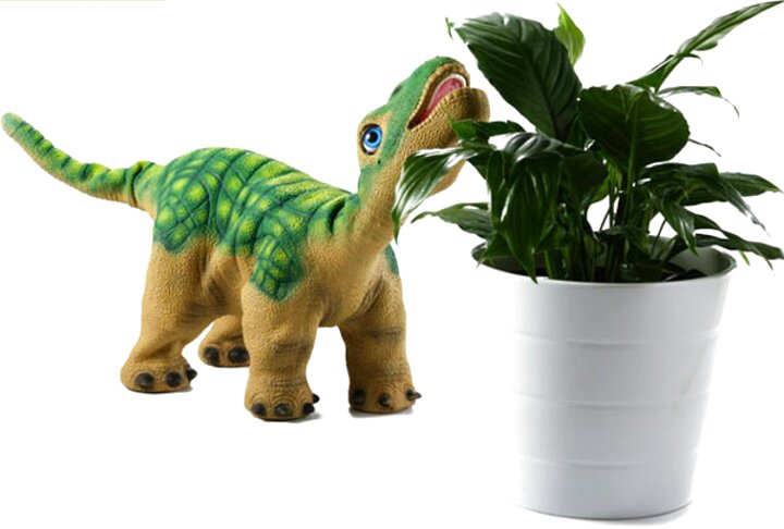 pleo dinosaur for sale