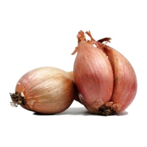 Shallot Sets for sale in UK | 26 used Shallot Sets