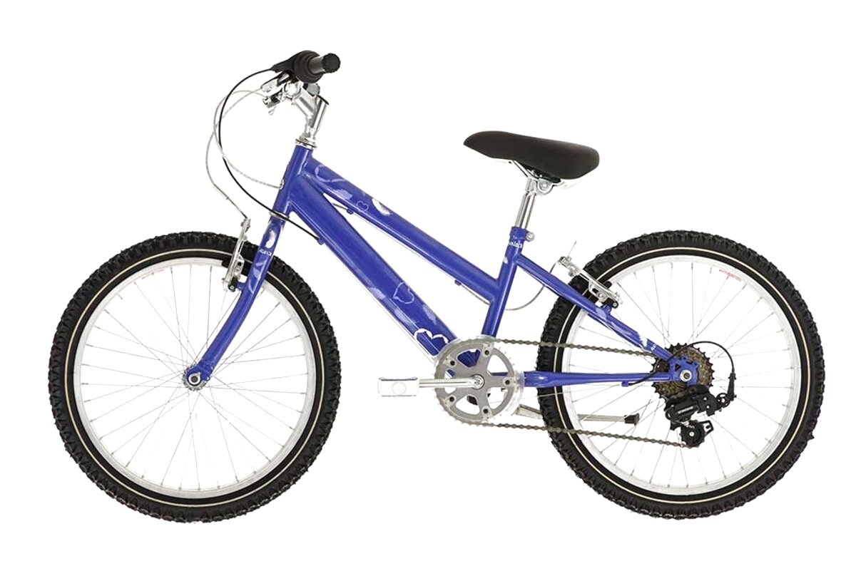 raleigh krush 20 purple