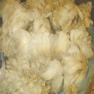 raw sheep wool for sale