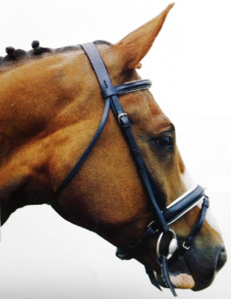 English Leather Bridle For Sale In UK | 72 Used English Leather Bridles