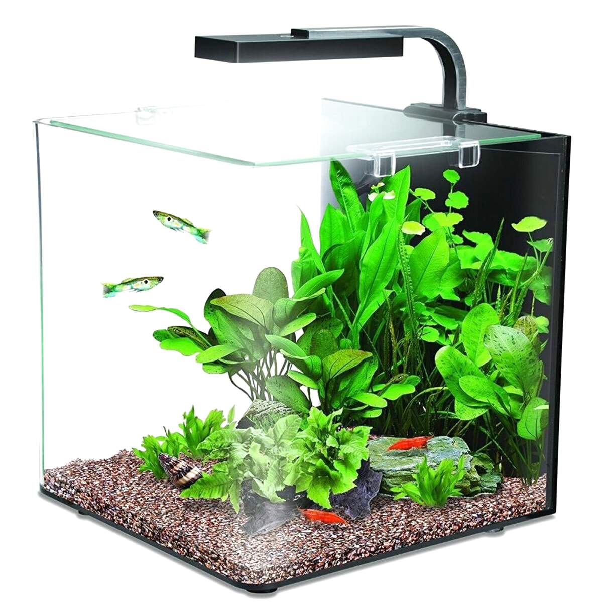 Fish Tank Starter Kit for sale in UK | 71 used Fish Tank Starter Kits