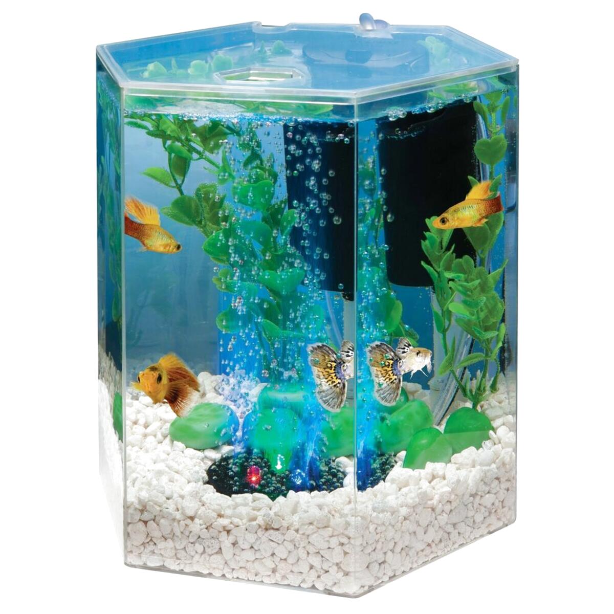 Hexagon Aquarium for sale in UK | 36 used Hexagon Aquariums