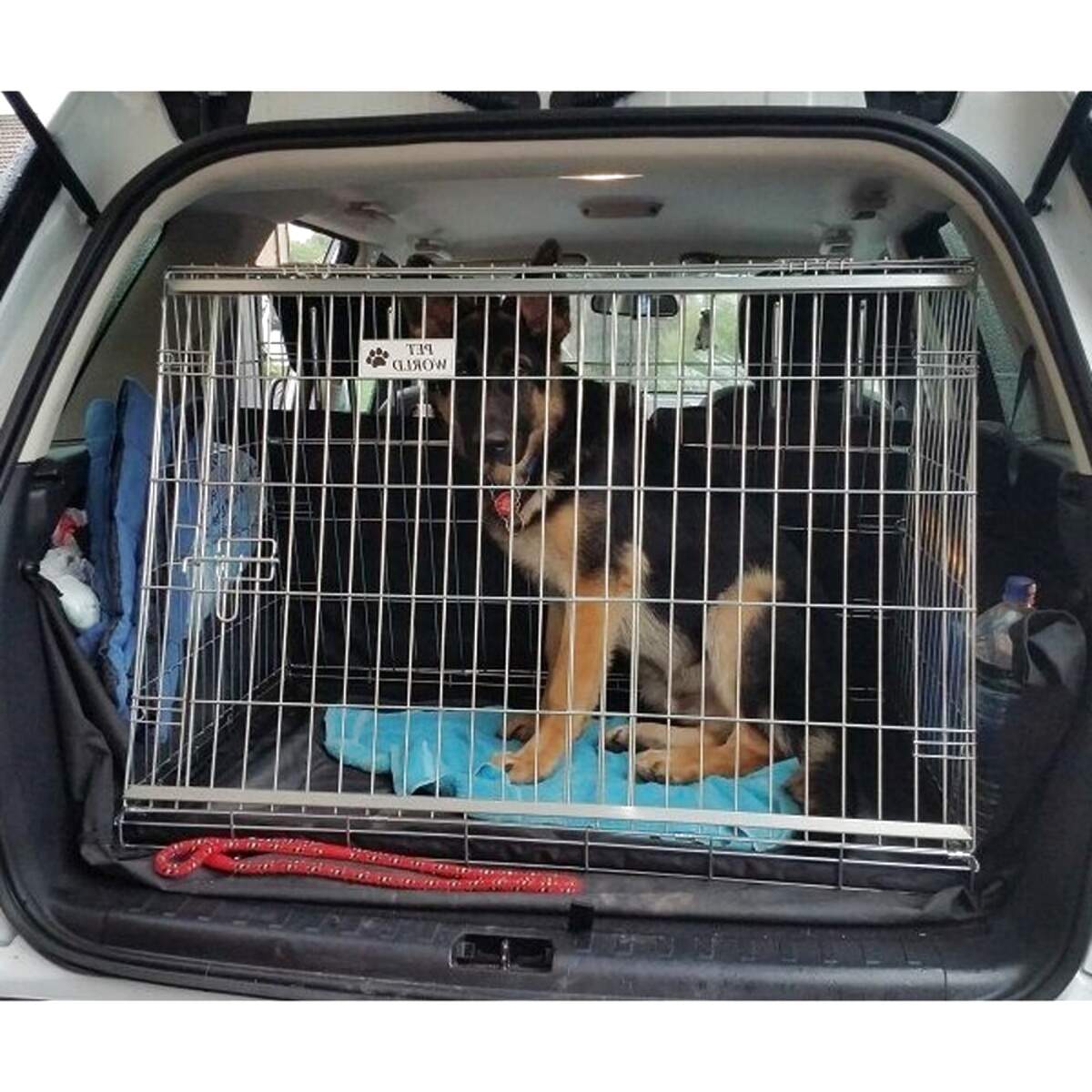 car dog cages for sale
