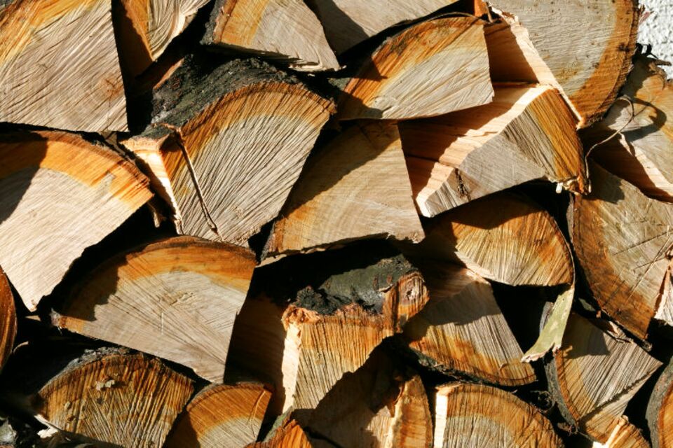 Unseasoned Logs for sale in UK 63 used Unseasoned Logs