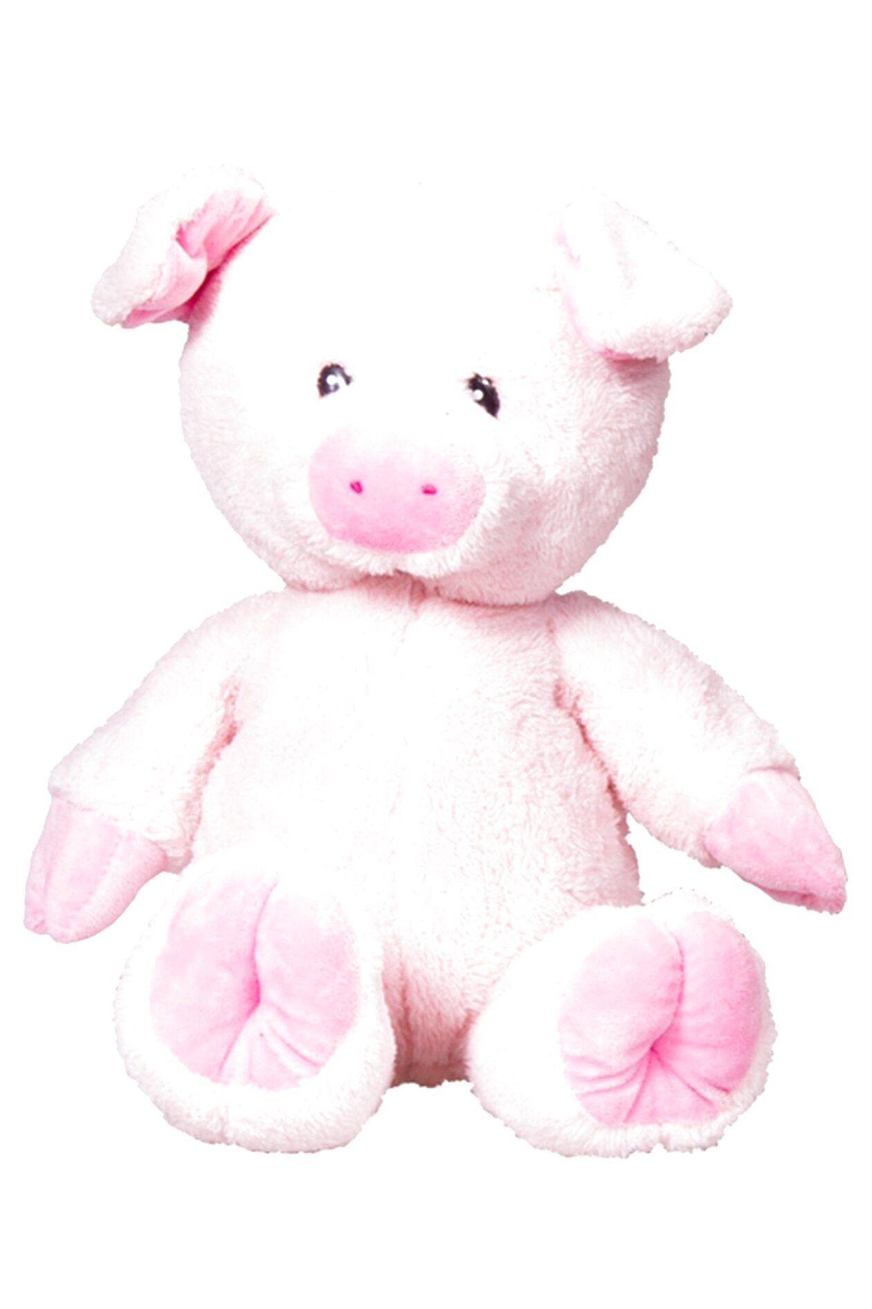 Amazon Pig Teddy at Randall Sloan blog