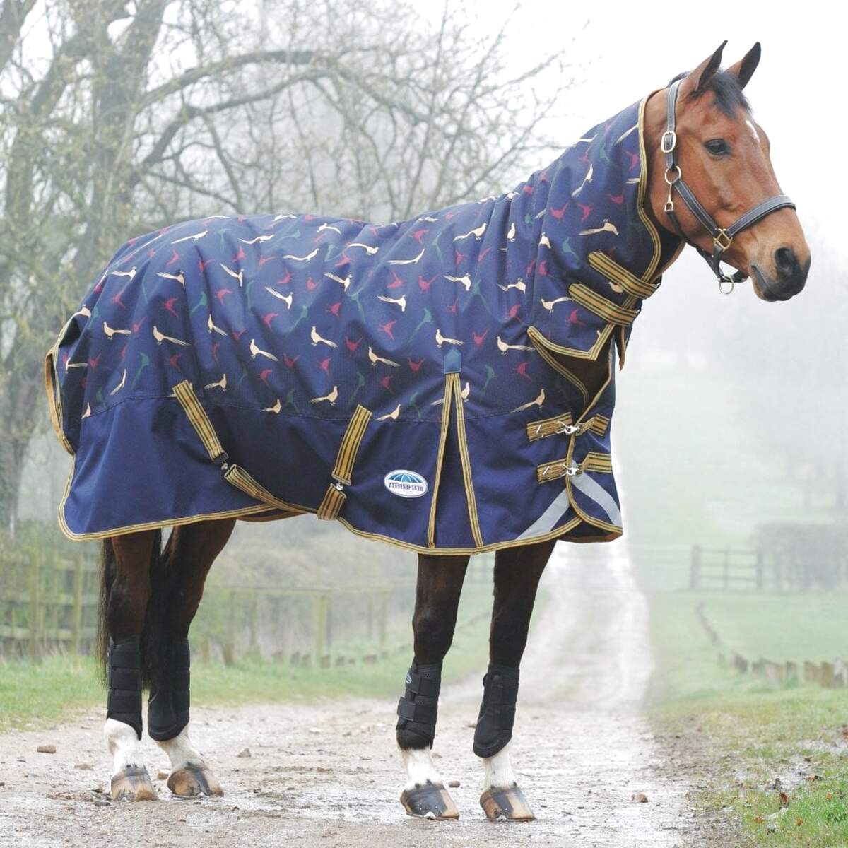 Weatherbeeta Horse Rugs for sale in UK 65 used Weatherbeeta Horse Rugs